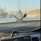 Ali Mola Car Hanging Ornament